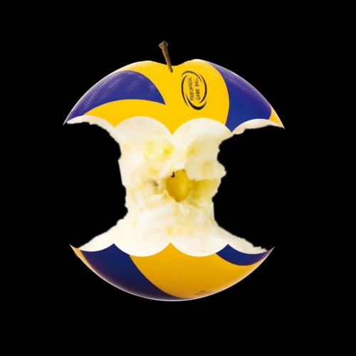 Commissie Logo