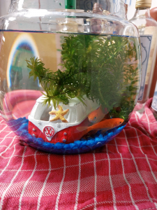 
                    Onze lieve hokvis is overleden :'(
                    